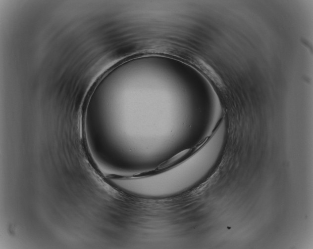 X0000091901036200709121455