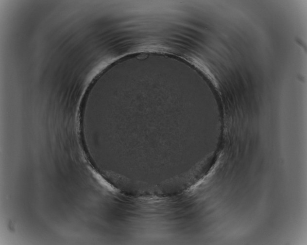 X0000091901037200709121455