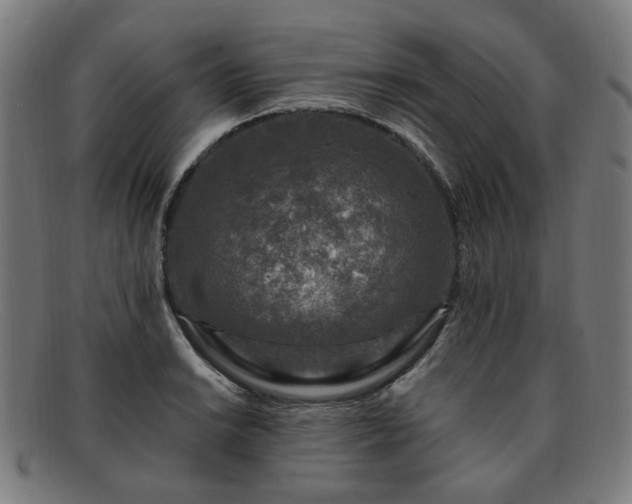 X0000091901038200709121455