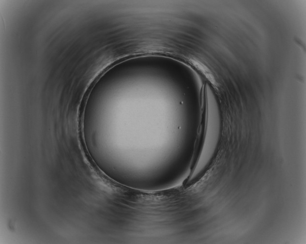 X0000091901039200709121455