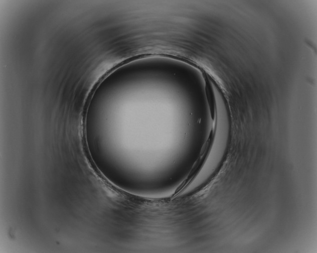 X0000091901040200709121455