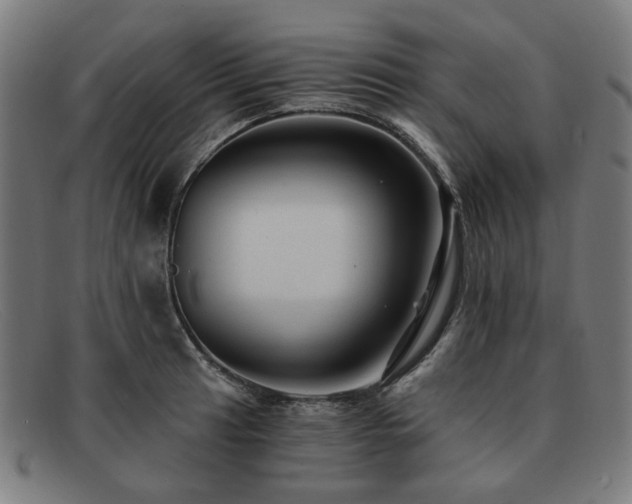 X0000091901041200709121455