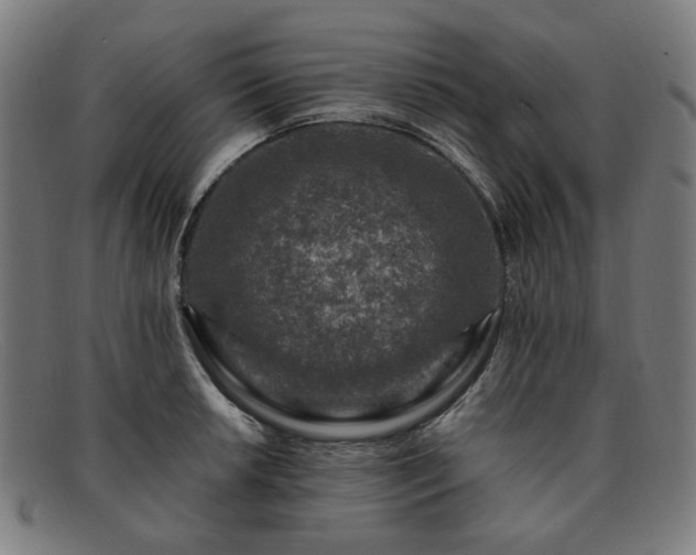 X0000091901042200709121455