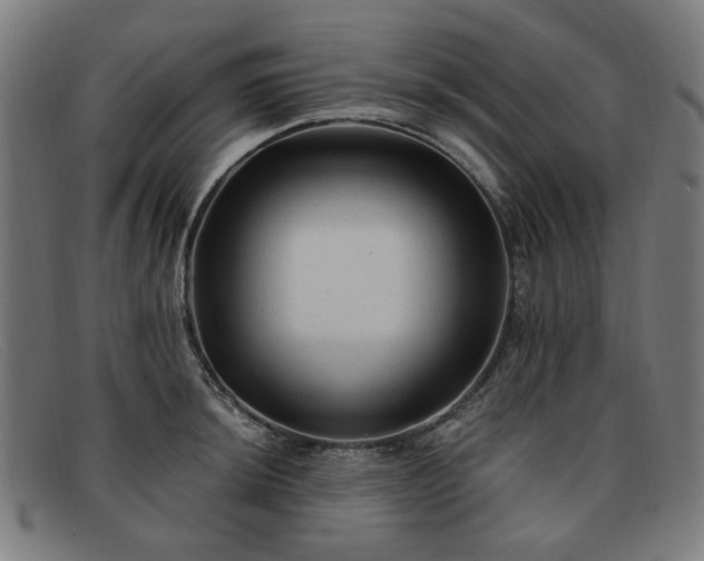 X0000091901044200709121455