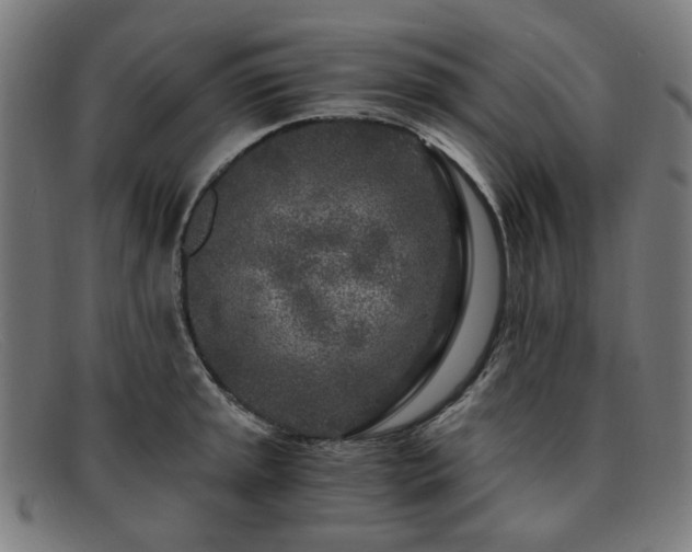 X0000091901045200709121455