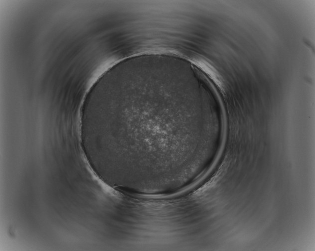 X0000091901046200709121455