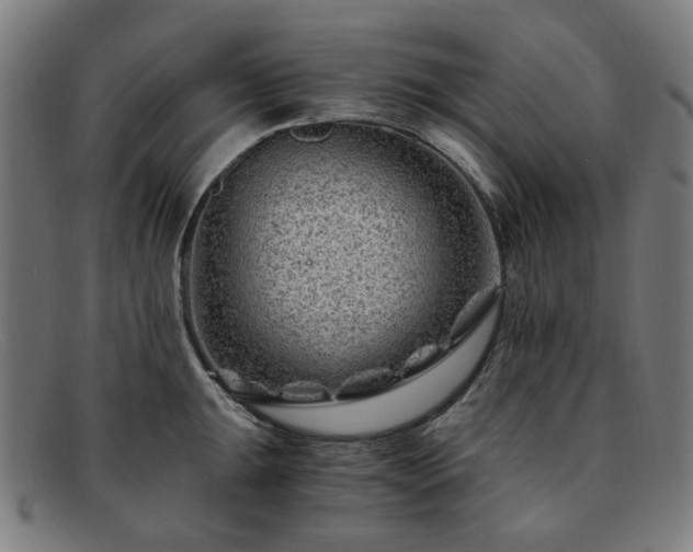 X0000091901047200709121455