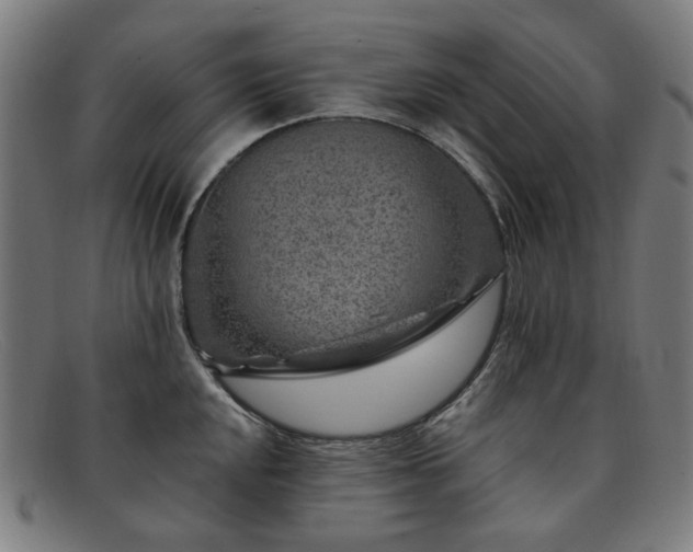 X0000091901048200709121455