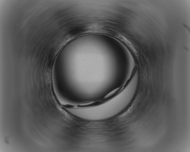 X0000091901049200709121455