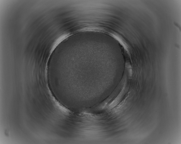 X0000091901050200709121455