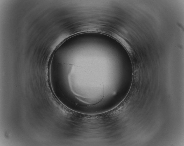 X0000091901051200709121455