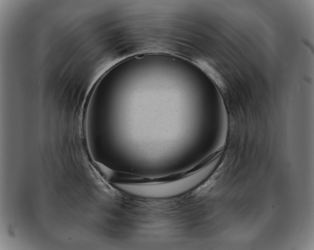 X0000091901052200709121455