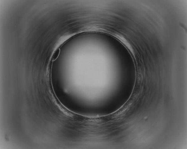 X0000091901053200709121455