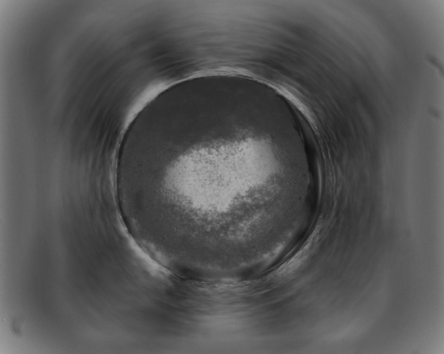 X0000091901054200709121455