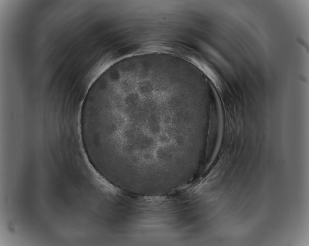 X0000091901055200709121455