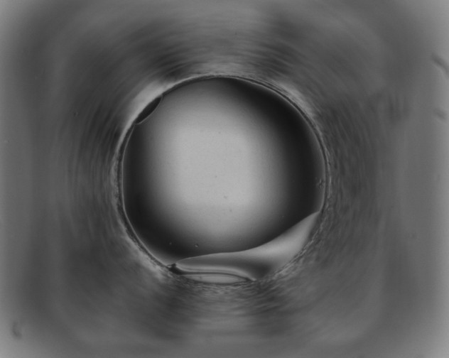 X0000091901056200709121455