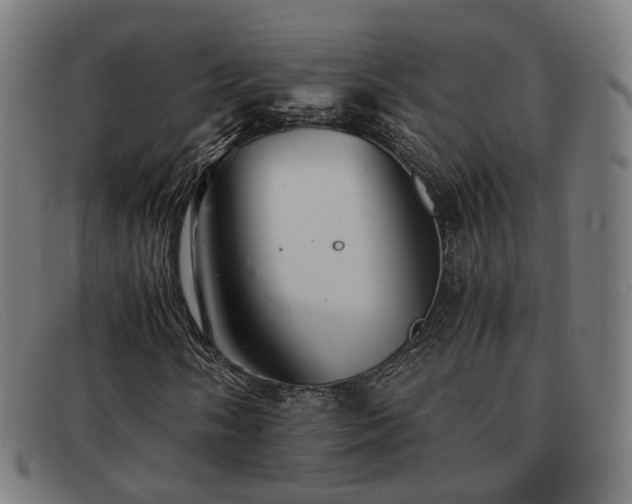 X0000091901058200709121455