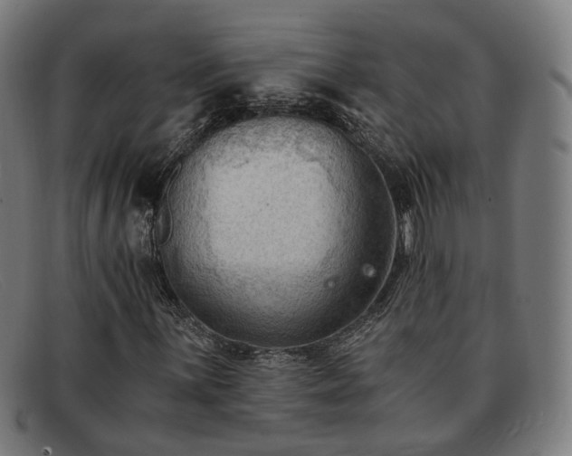 X0000091901059200709121455