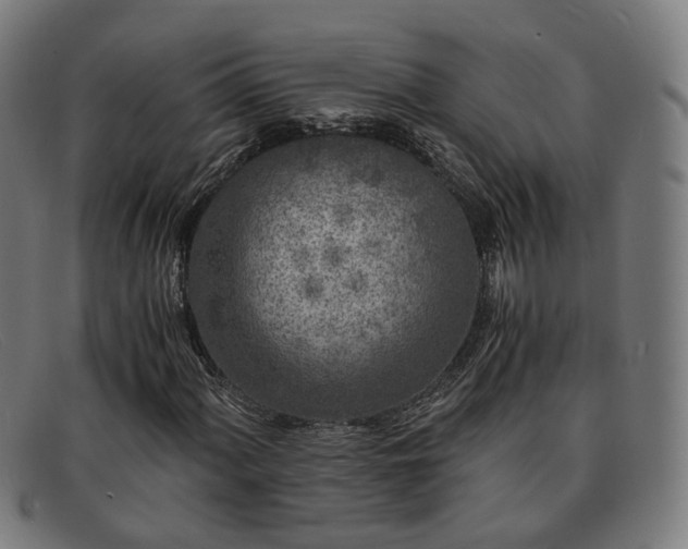 X0000091901060200709121455