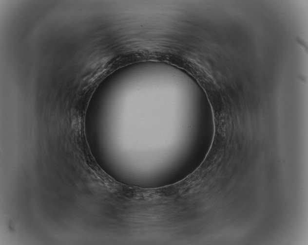 X0000091901061200709121455