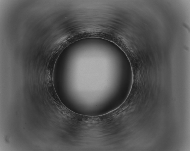 X0000091901062200709121455