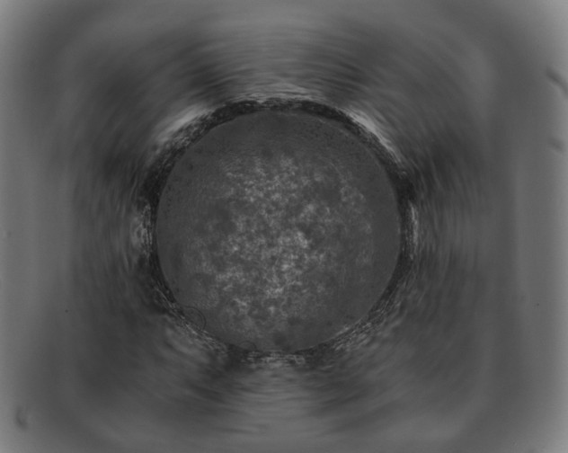 X0000091901063200709121455