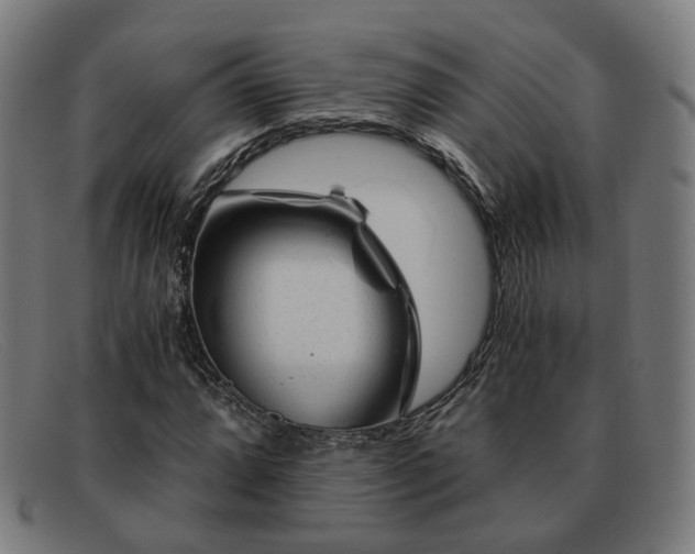 X0000091901064200709121454