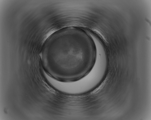 X0000091901065200709121454