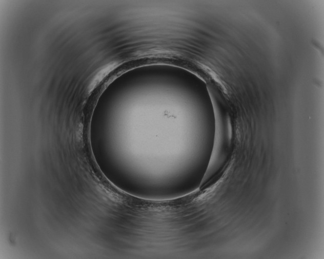 X0000091901066200709121454