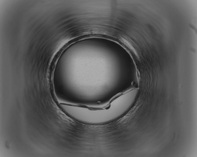 X0000091901068200709121454