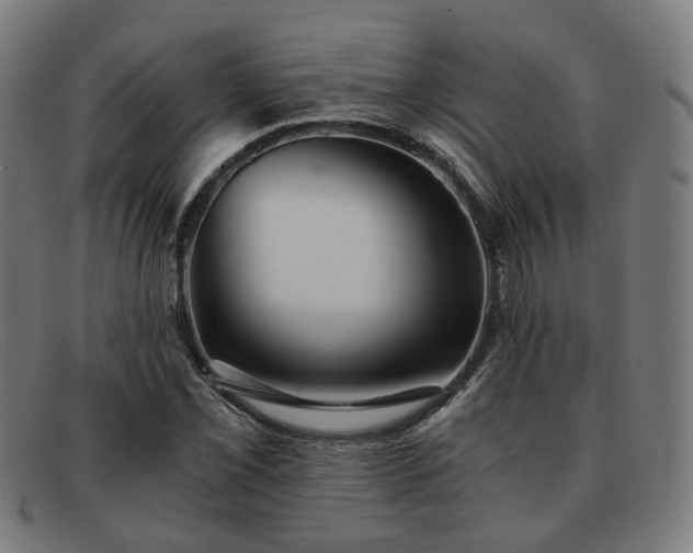 X0000091901069200709121454