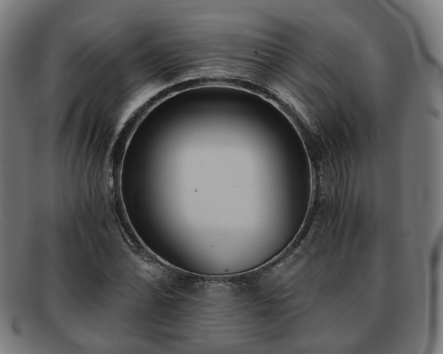 X0000091901070200709121454