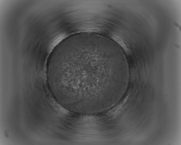 X0000091901071200709121454