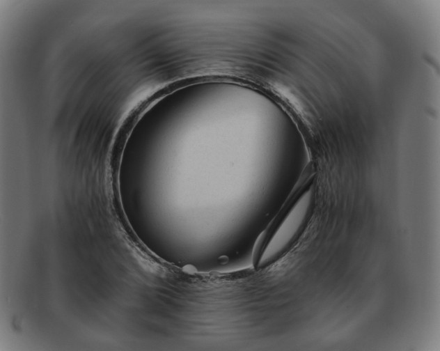 X0000091901072200709121454