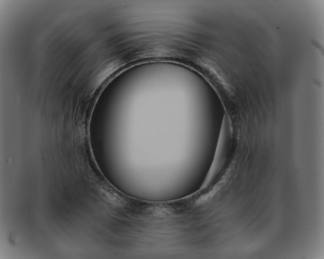 X0000091901073200709121454