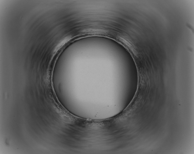 X0000091901074200709121454