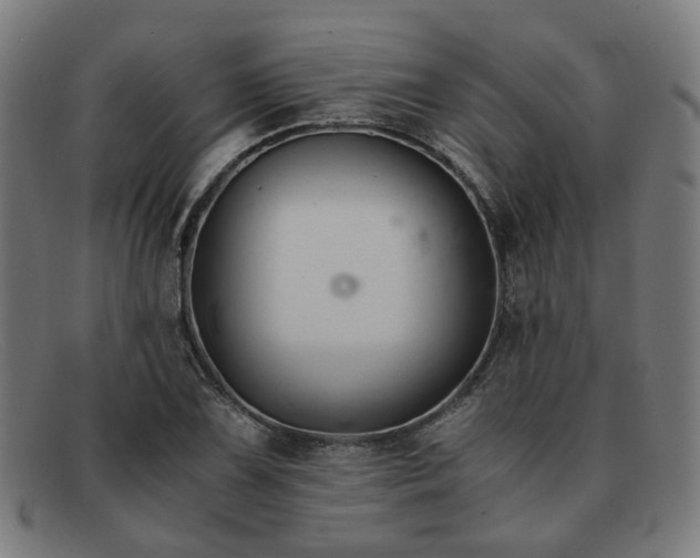 X0000091901075200709121454