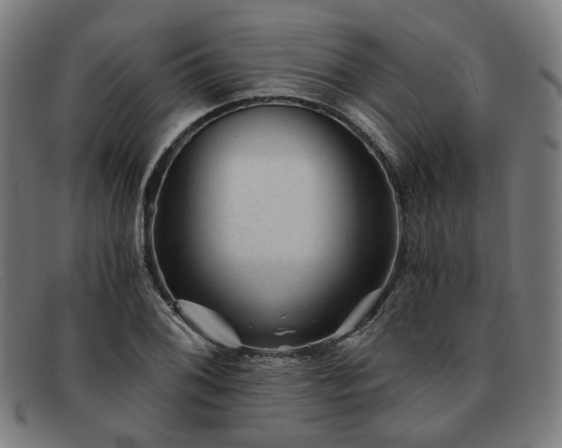 X0000091901076200709121454