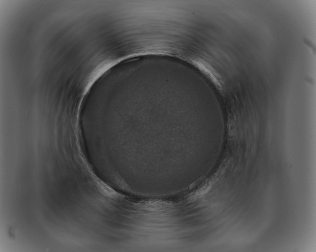 X0000091901077200709121454