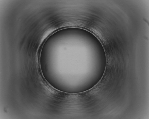 X0000091901078200709121454