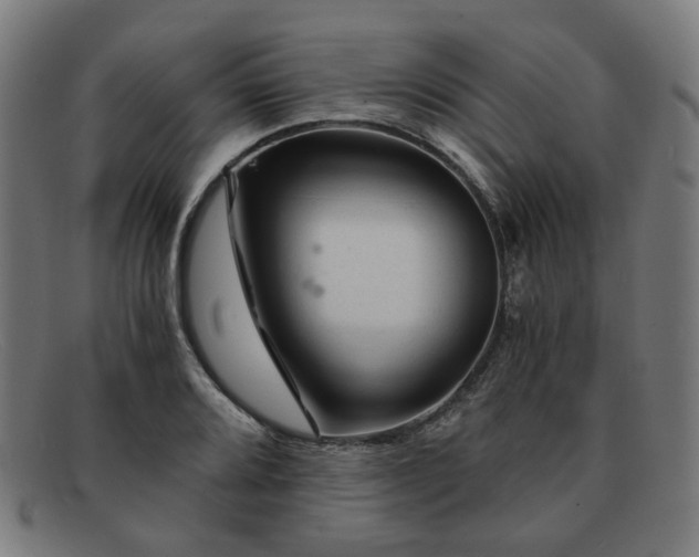 X0000091901080200709121454