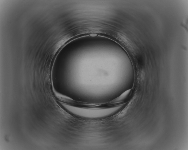 X0000091901081200709121454