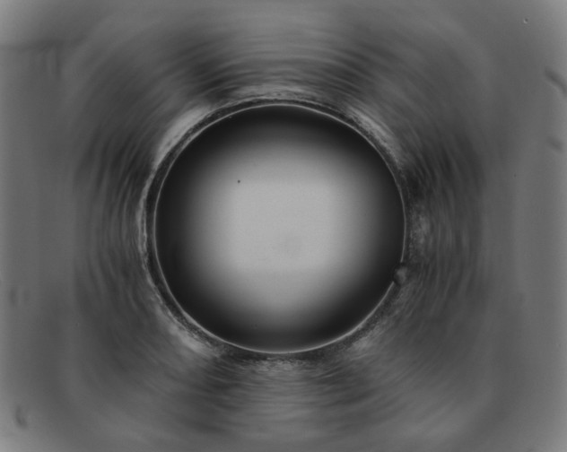 X0000091901082200709121454