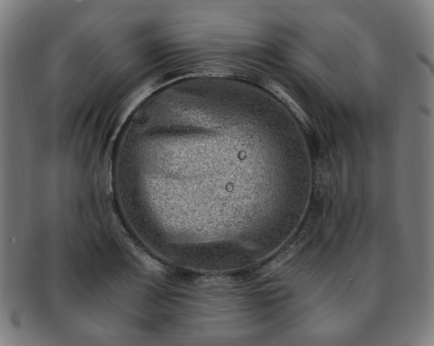 X0000091901083200709121454