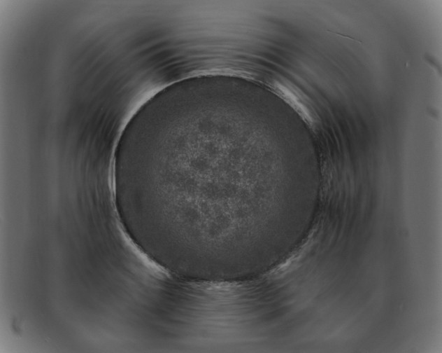 X0000091901084200709121454