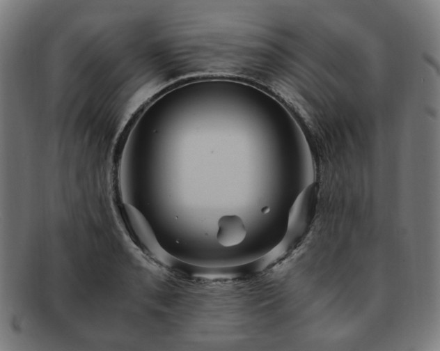 X0000091901085200709121454