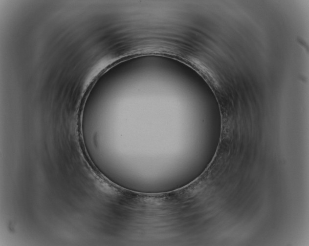 X0000091901086200709121454