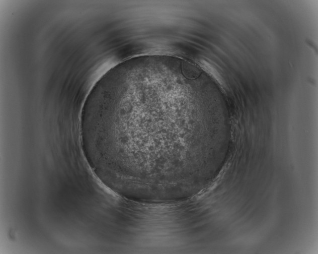 X0000091901087200709121454