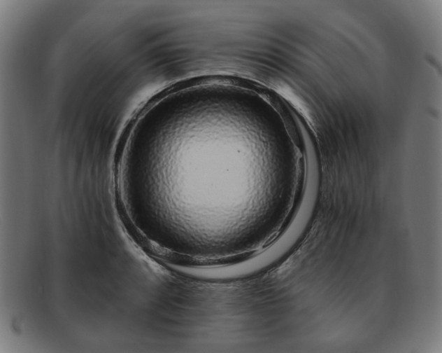 X0000091901088200709121454