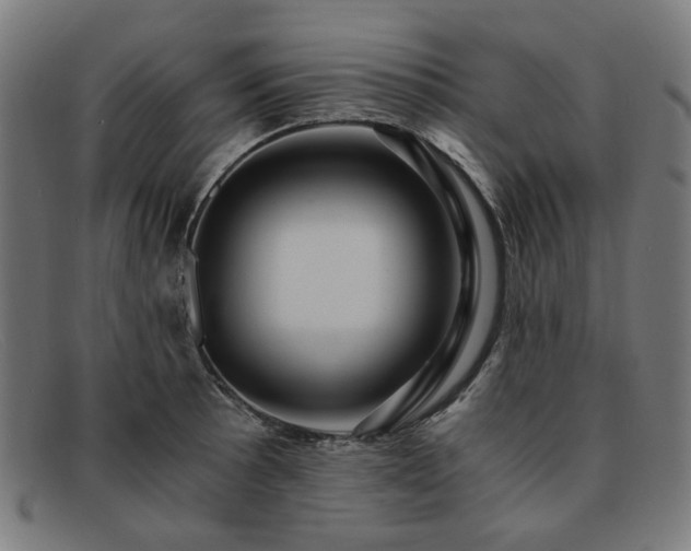 X0000091901089200709121454